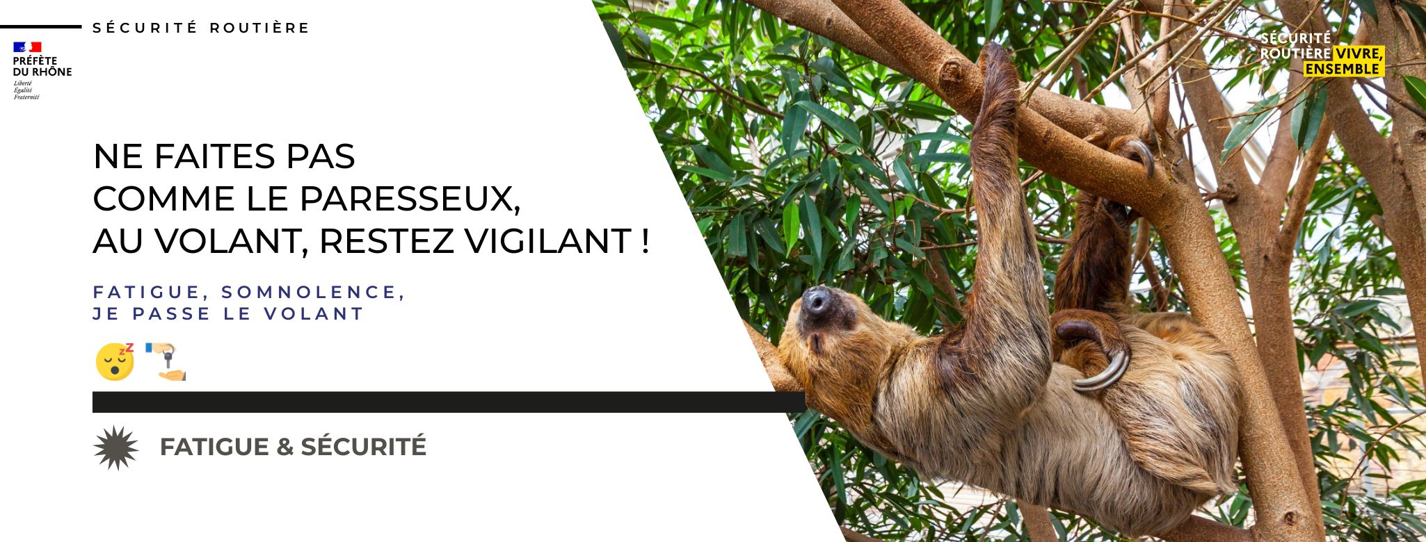 Singe paresseux