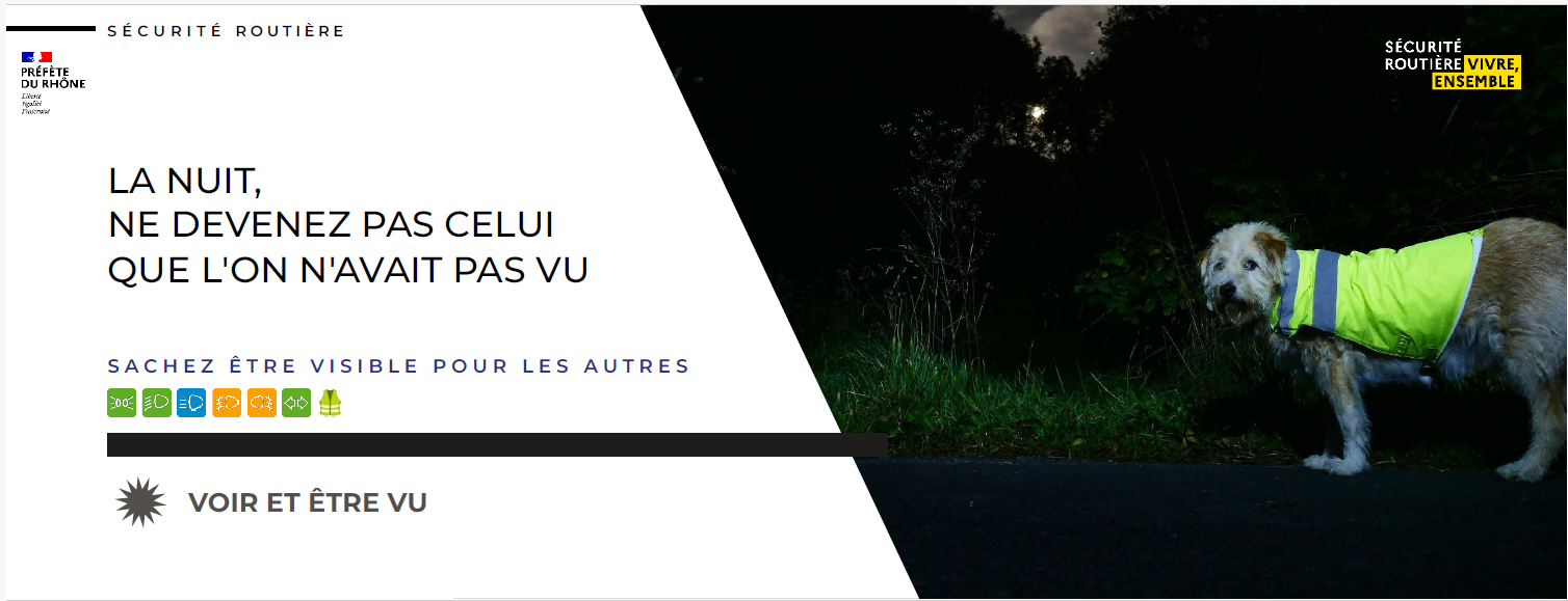 Securite routiere 11 25