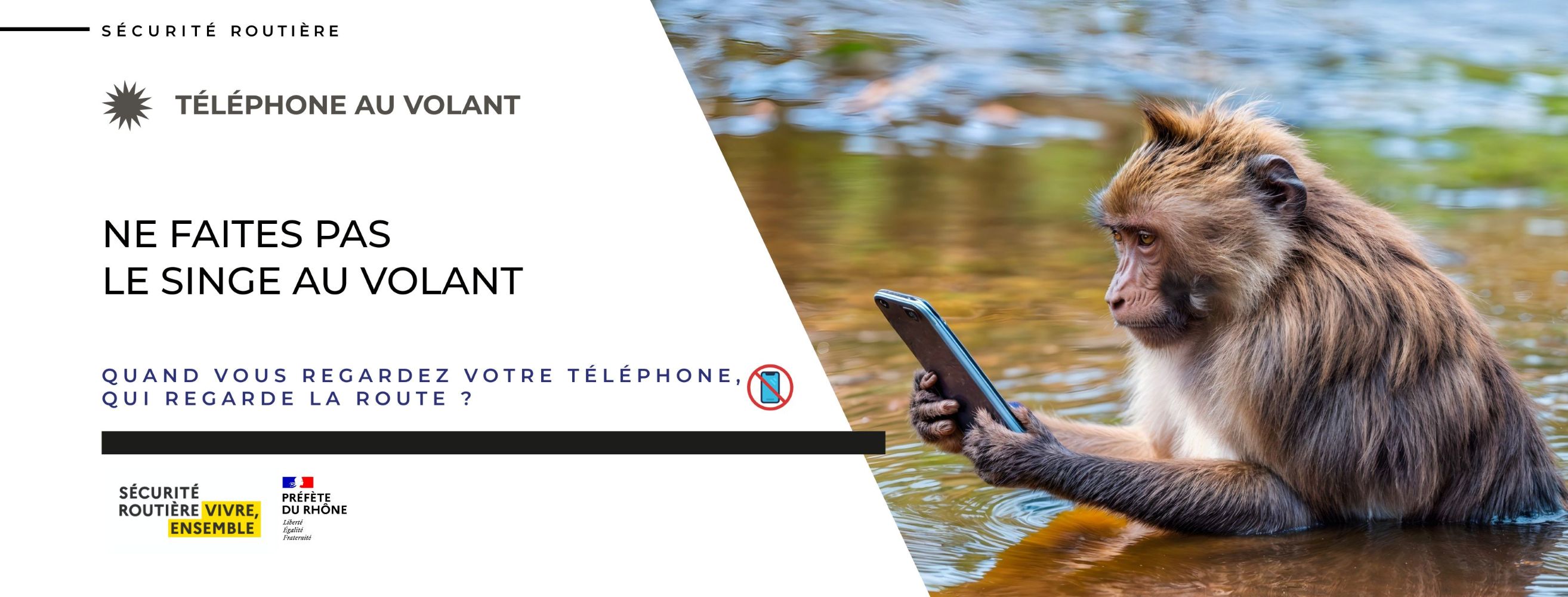 S R Singe téléphone